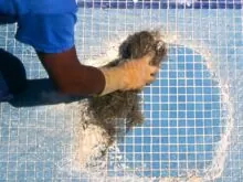 reformas_piscina_sevilla-thegem-blog-justified-4x (1)