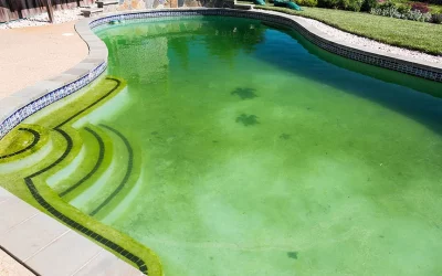 Cómo limpiar las algas con un limpiafondos