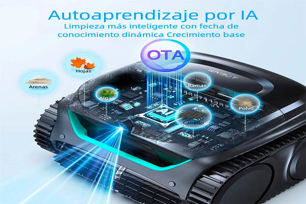 Distribuidor oficial de Dolphin en Sevilla